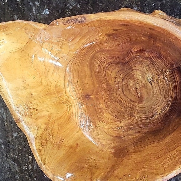 Hollow Carved Wood Stump Catchall Bowl Bin 7" Wide 3" Tall Burl Wood - Picture 5 of 5